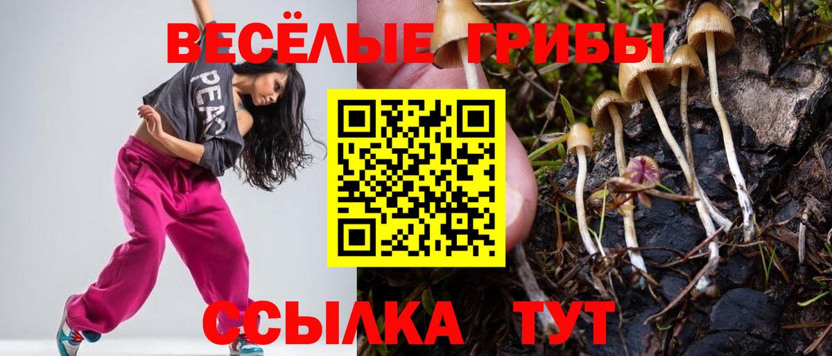 Галлюциногенные грибы Magic Shrooms  Вход с VPN  Алатырь 