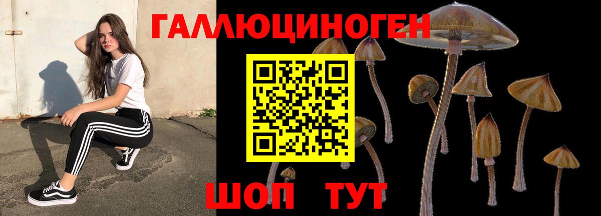 Псилоцибиновые грибы Magic Shrooms Алатырь
